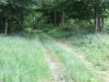 DSCF8893.jpg
