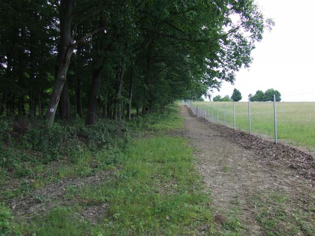 DSCF8896.jpg