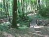 DSCF8905.jpg